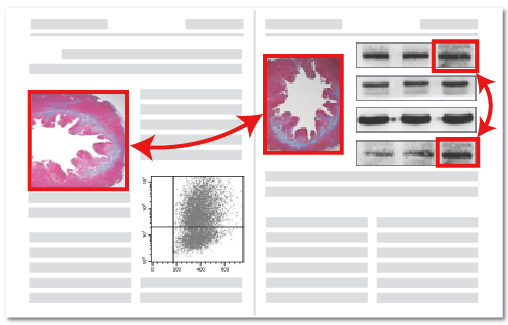 数据库覆盖范围
