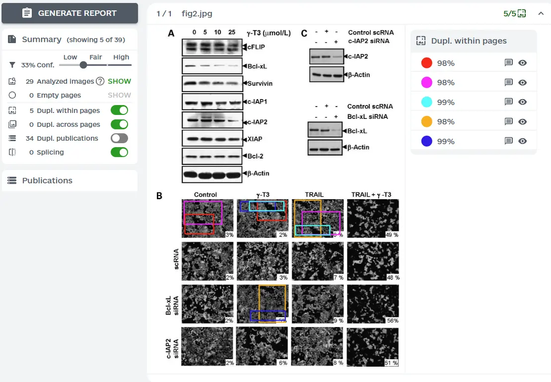 ImageTwin检测报告样例